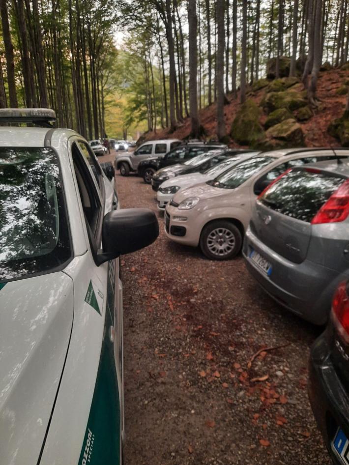 Fungaioli all'assalto, troppe auto: chiusa la strada dei Lagoni