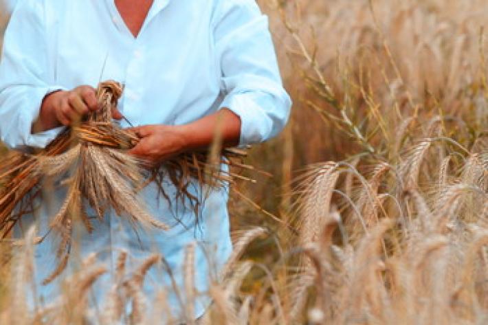 La rivoluzione green? Incomincia dalla pasta. Domani tavola rotonda