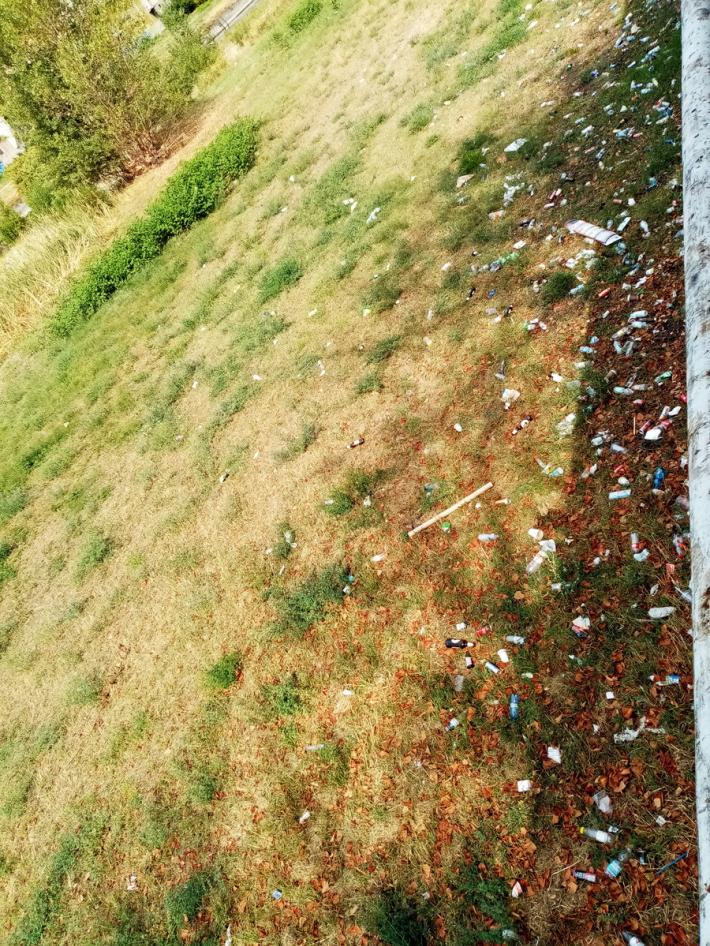 Viale Mariotti, "manca il bidone rosso". E anche la civilt&agrave;