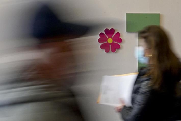 Virologi in tv: no a bavagli, s&igrave; a informazioni verificate 