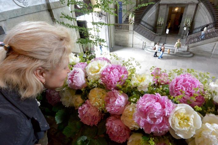 Donna a 24 anni sente per la prima volta gli odori