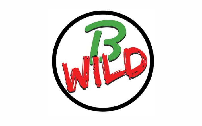 B-Wild