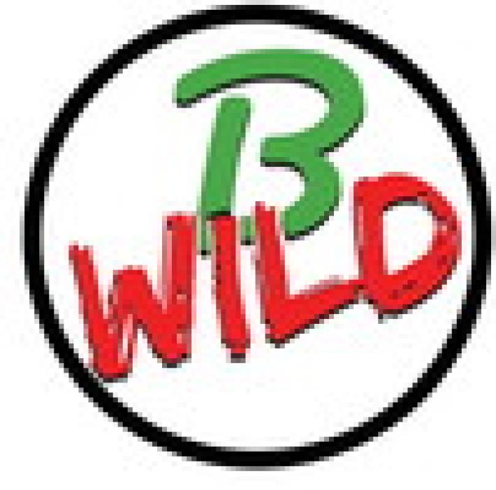 B-Wild - Boschi di Carrega, una magia da scoprire
