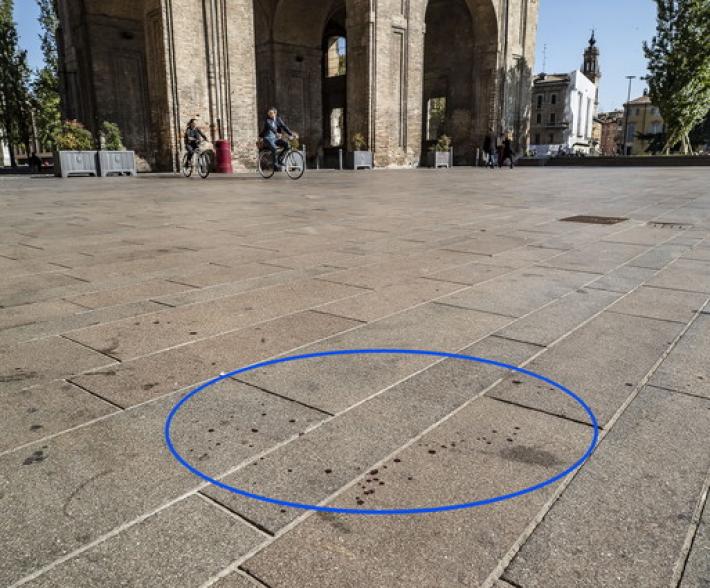 Dalle parole ai pugni: sangue sul piazzale