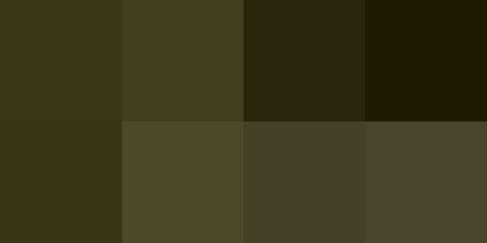 I vigili urbani operativi sulle 24 ore? Nelle province vicine