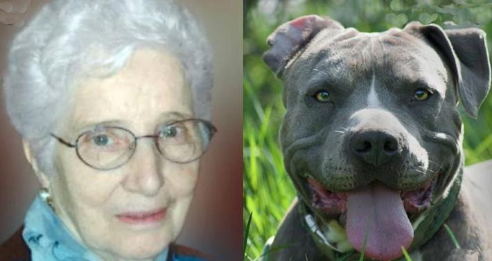 Anziana morta sbranata dai cani dei vicini a Sassuolo, indagata la badante