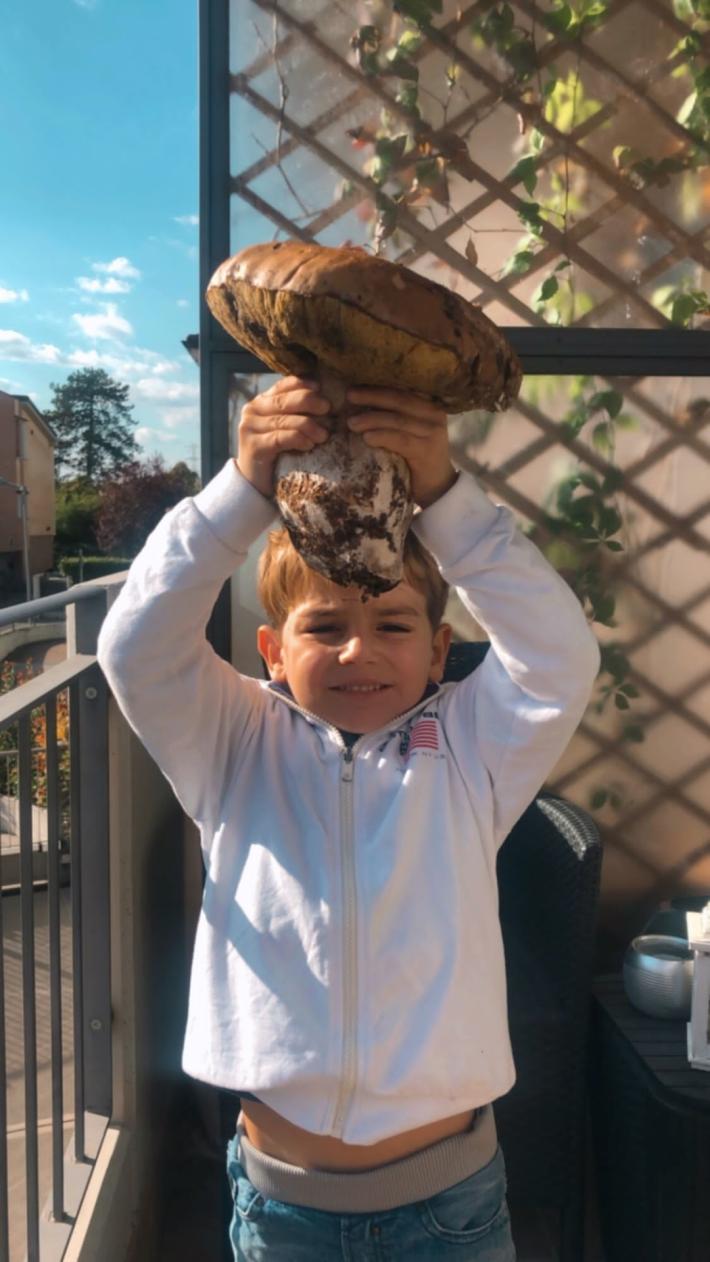 Edoardo trova il porcino da record: pesa 1,5 kg