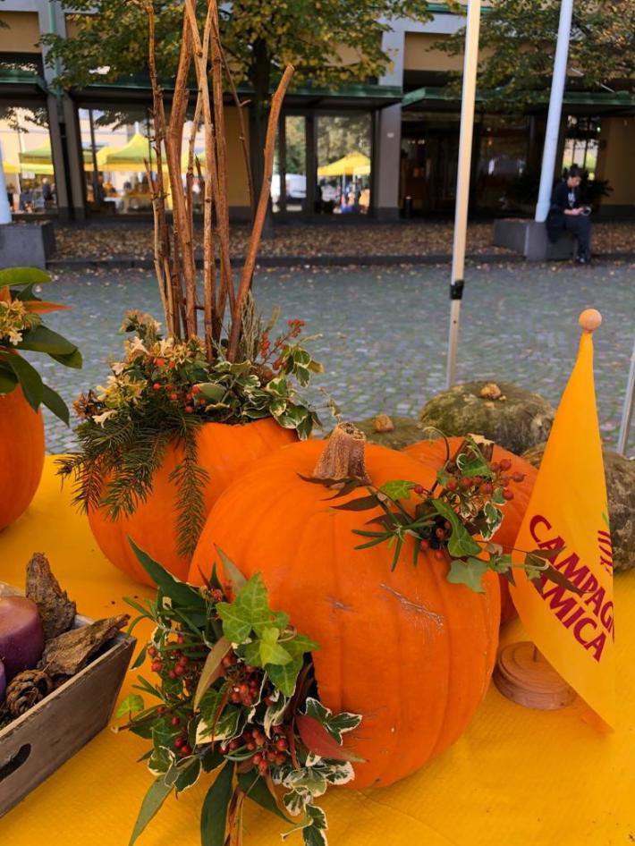 Mercato Campagna Amica di Barriera Repubblica: arriva la zucca solidale