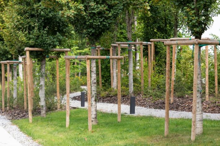 Il Gruppo Bertozzi-Ajsia aderisce come socio sostenitore al Consorzio Kilometroverdeparma