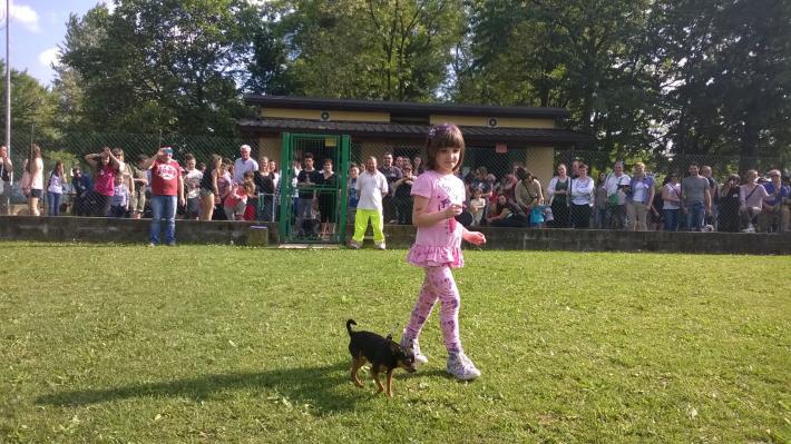 I cani e la sicurezza dei bambini. L'importanza dell'educazione