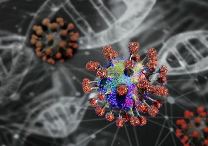 Parma, scoperti 20 nuovi positivi. Restano in 4 in terapia intensiva