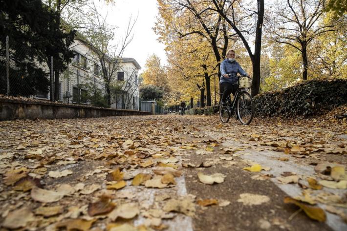 Foglie cadute, allarme per la mancata pulitura della strade