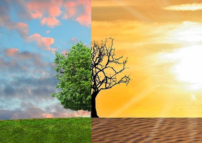  Cambiamenti climatici: nessun paese si salva da solo 