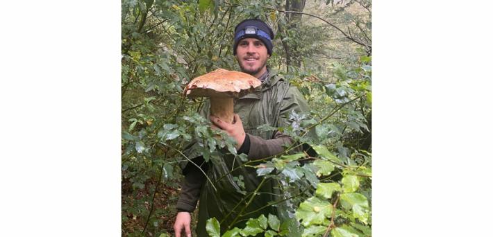 Il porcino di 1,5 kg trovato da Francesco