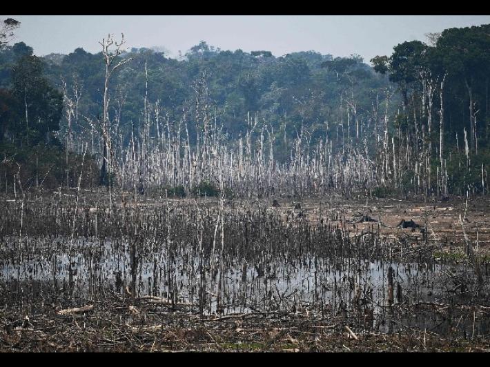 Cop26: Brasile si impegna a ridurre 50% gas serra entro 2030