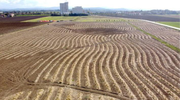 Agugiaro & Figna dedica Il Bosco del Molino alla Giornata Nazionale degli Alberi 