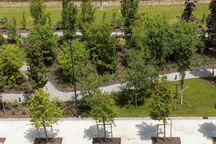 KilometroVerdeParma: alleanza educativa con Giocampus Green