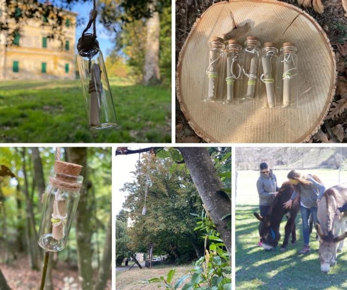 A passo d&rsquo;asino per scoprire i messaggi segreti nascosti in ampolle nei&nbsp;Boschi di Carrega