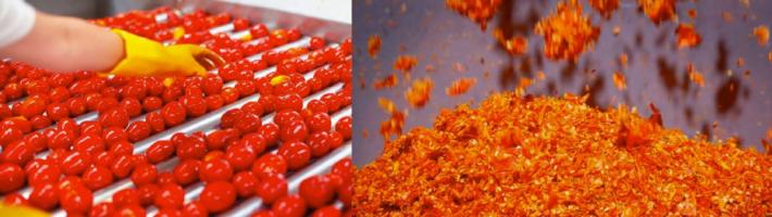 Parma, &egrave;  Mutti l'azienda #sprecozero del 2021