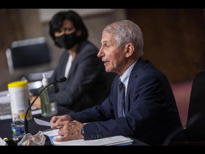 Covid: Fauci, possibile America verso quinta ondata