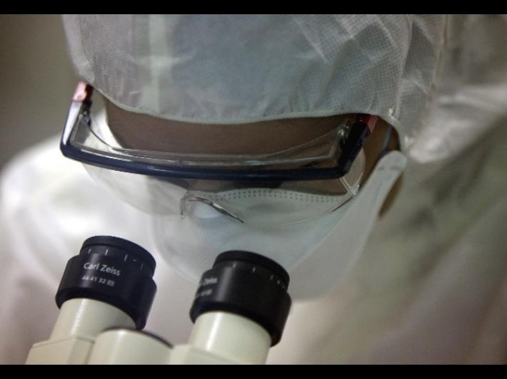 Variante omicron, primissimi dati: sintomi lievi e diversi, sempre rischi per i fragili