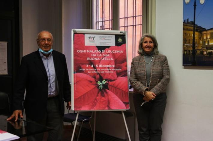 Le Stelle di Natale dell'Ail tornano nelle piazze