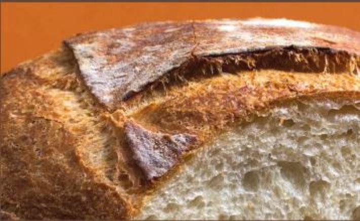 Il pane, con i suoi derivati, &egrave; al centro di ogni pasto, non solo nella &ldquo;vecchia&rdquo; Europa