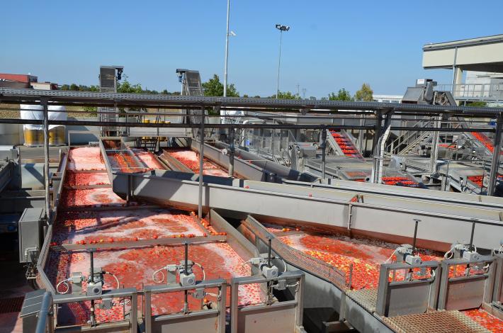 Copador, al via l'asta. Mutti in pole position