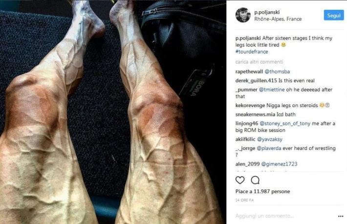 Vene in rilievo e muscoli gonfi: le gambe di Poljanski  sconcertano il web