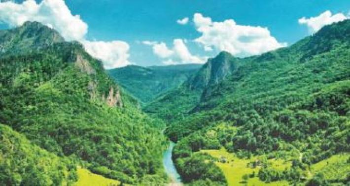 Festeggiamo insieme la nostra Terra