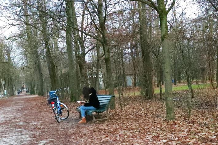 Parma in inverno: il Parco Ducale semideserto