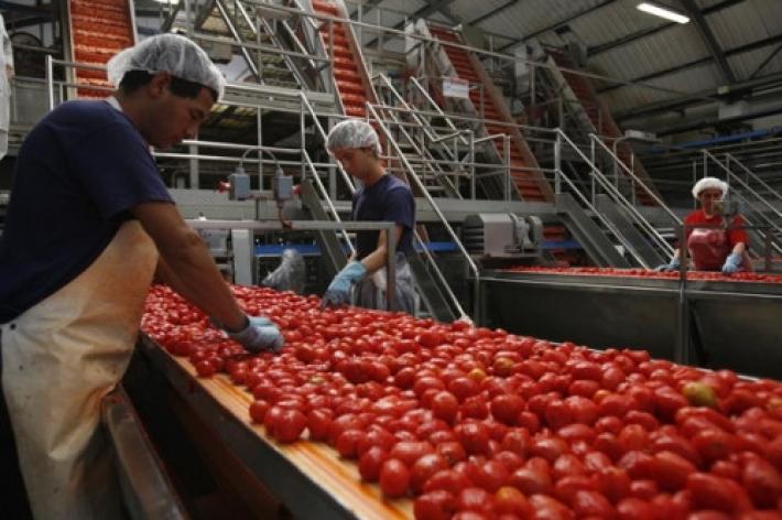 Convegno dell'Interprofessione del pomodoro da industria al Tomato World di Piacenza