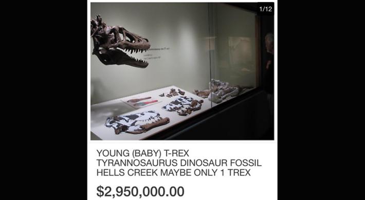 Il baby T-rex in vendita su eBay a 3 milioni di dollari