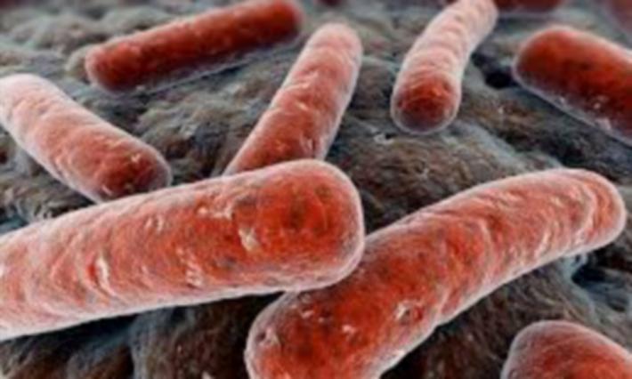 Tubercolosi, dimesso il 12enne