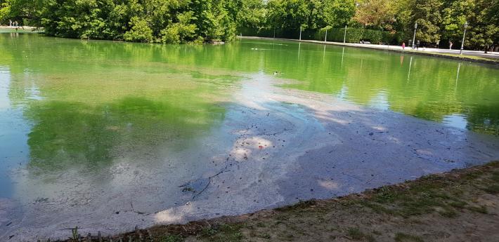 "Laghetto del Giardino: la vergogna"