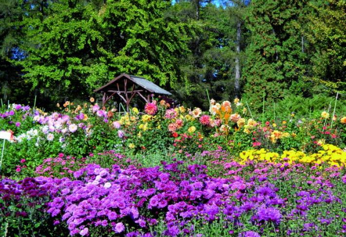 Una passione senza et&agrave; per numerosi italiani