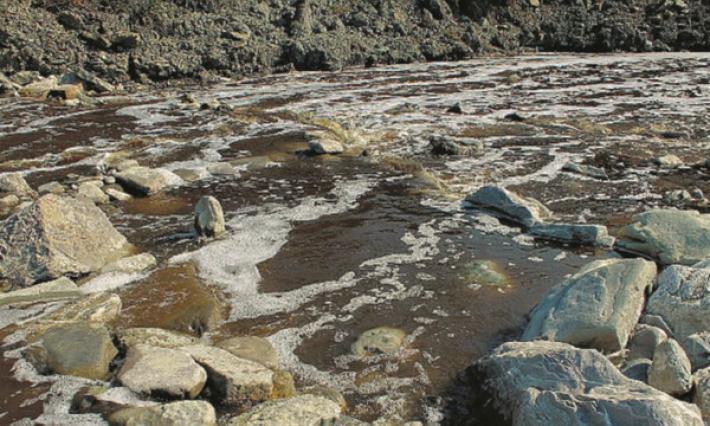 Sversa liquami in un torrente, denunciato nel Reggiano