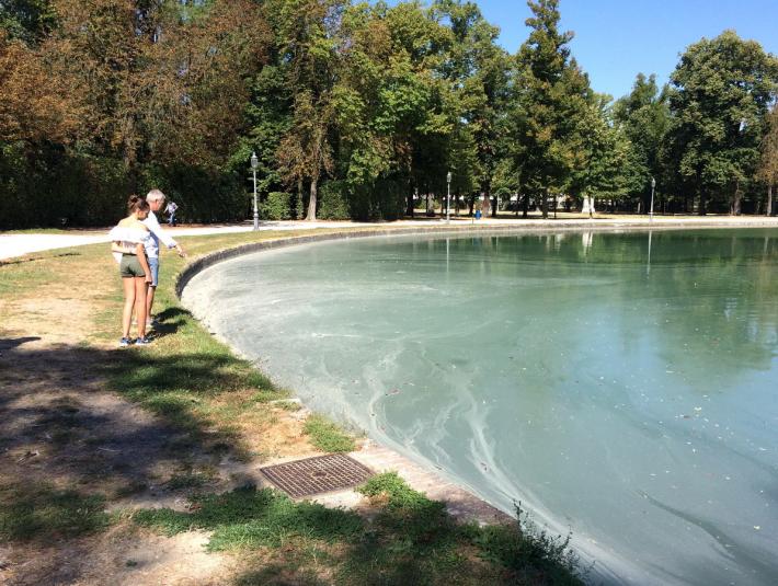 Quattro giorni di Street  Food Festival al parco Ducale