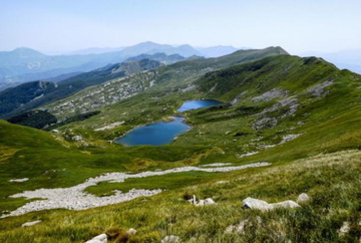 Cooperative di Comunit&agrave; in Appennino: prorogata la scadenza del bando per il cofinanziamento