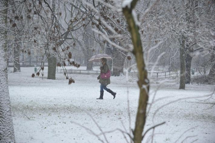 Allerta meteo arancione per luned&igrave; nel Parmense : prevista neve sugli Appennini  e temporali in pianura