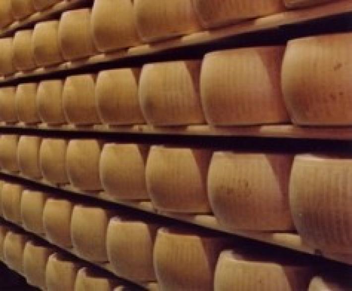 Magazzini generali delle tagliate (gruppo Credem): nel primo semestre 2024 oltre 340 milioni di euro di affidamenti assistiti da pegno