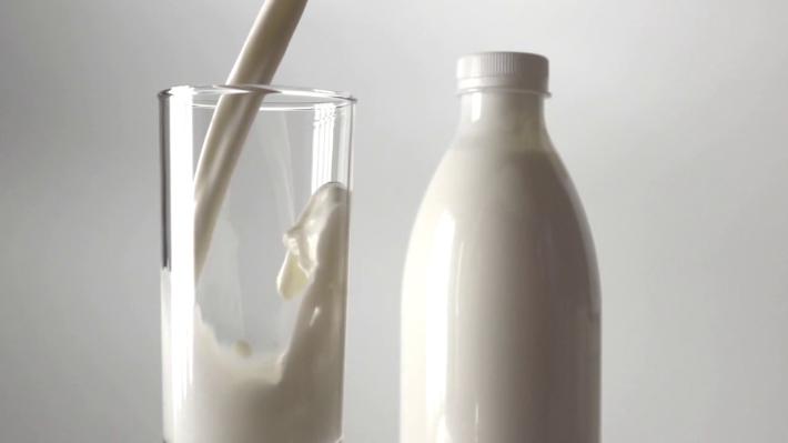 Rincari, allarme di Lactalis e Granarolo: "Il prezzo del latte rischia di superare i 2 euro. Il governo intervenga"