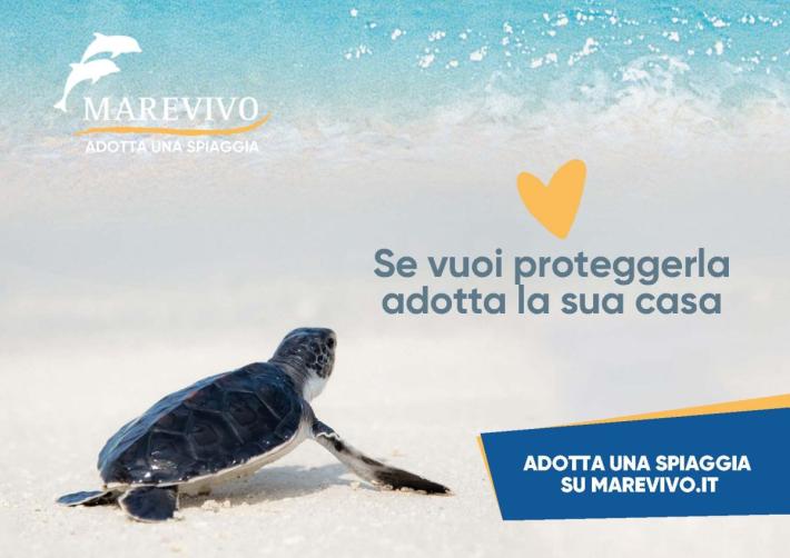 Riparte la campagna nazionale di Marevivo "Adotta una spiaggia"