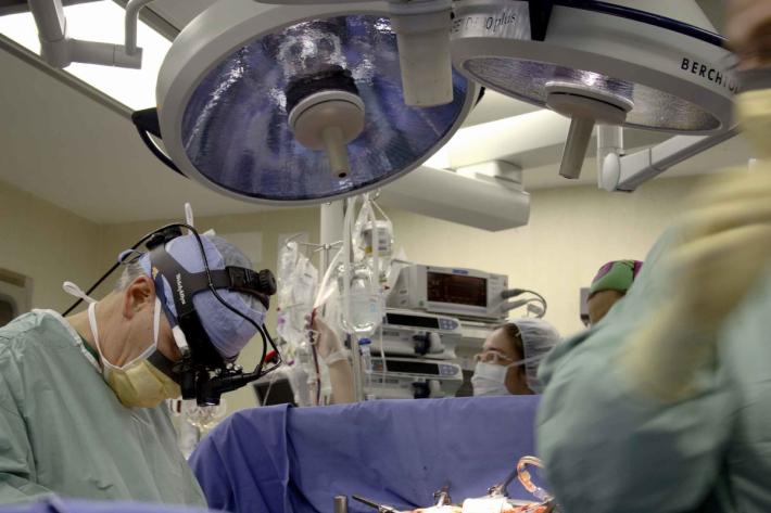 Torna domani (14 aprile) la Giornata nazionale per la donazione di organi e tessuti. In Emilia Romagna 2023 record: 585 trapianti