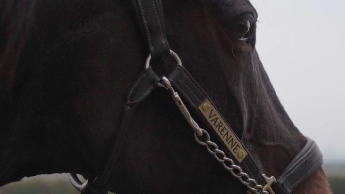 Su EQUtv il docufilm "Io sono Varenne, il figlio del Vento"