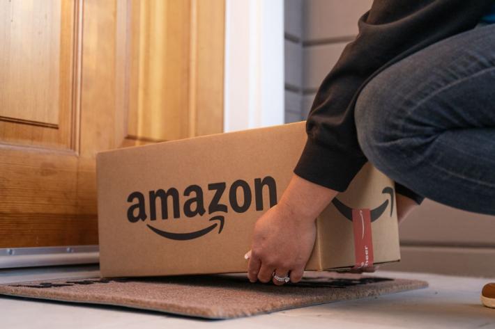 Gatta si intrufola nel pacco e viene spedita con Amazon