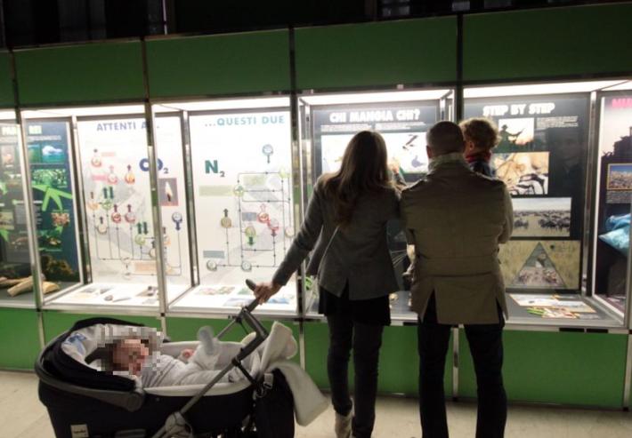 Assegno unico, Italia deferita alla Corte di Giustizia dell'Ue