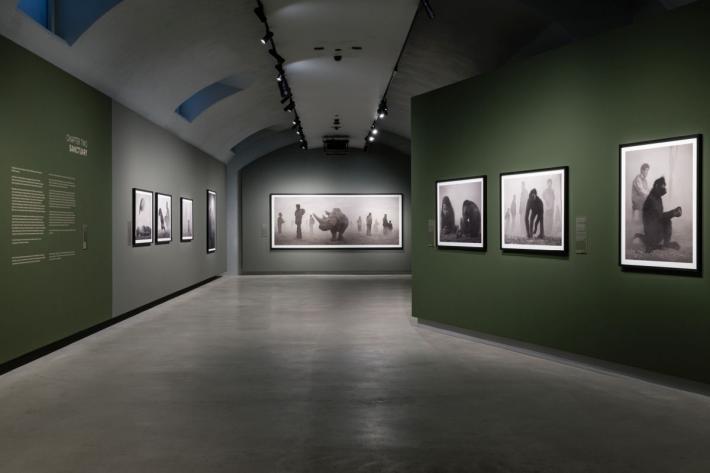 Alle Gallerie d'Italia di Torino la mostra "Nick Brandt"
