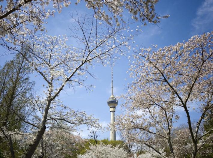 Pechino, quasi eliminate le giornate con livello "grave" di inquinamento