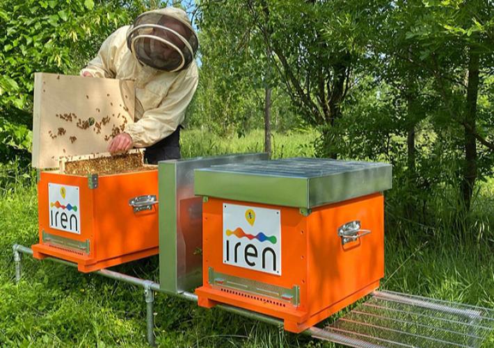 Due alveari nell'area del Polo Ambiente Integrato di Parma